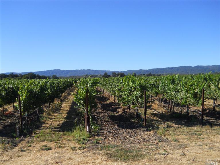 a view of a lot of a lake with a mountain