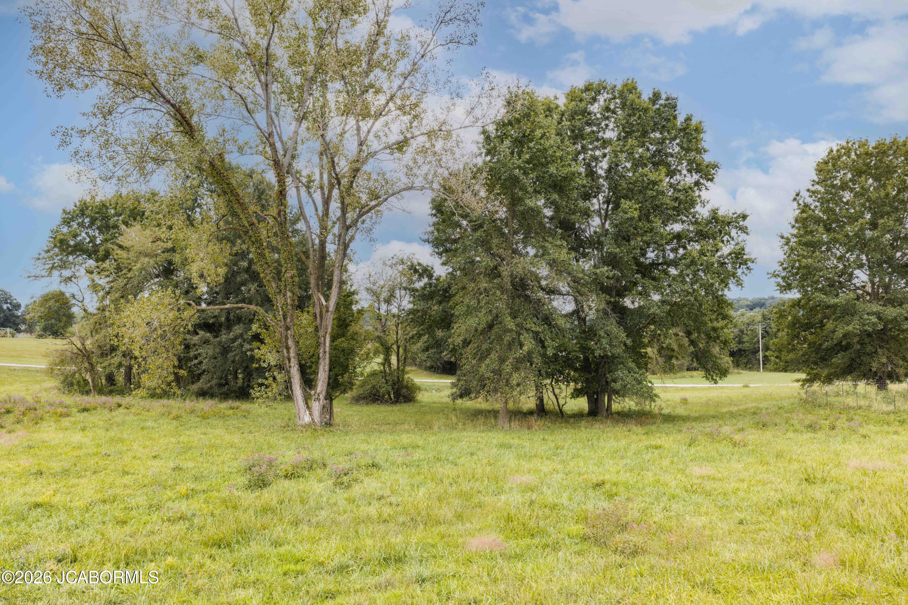 5130 North Locust Grove Church Road Columbia, MO 65202 - Photo 14 of 62 Gallery Image 14