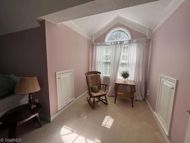 4918 Jessup Grove Road Greensboro, NC 27410 - Photo 27 of 29