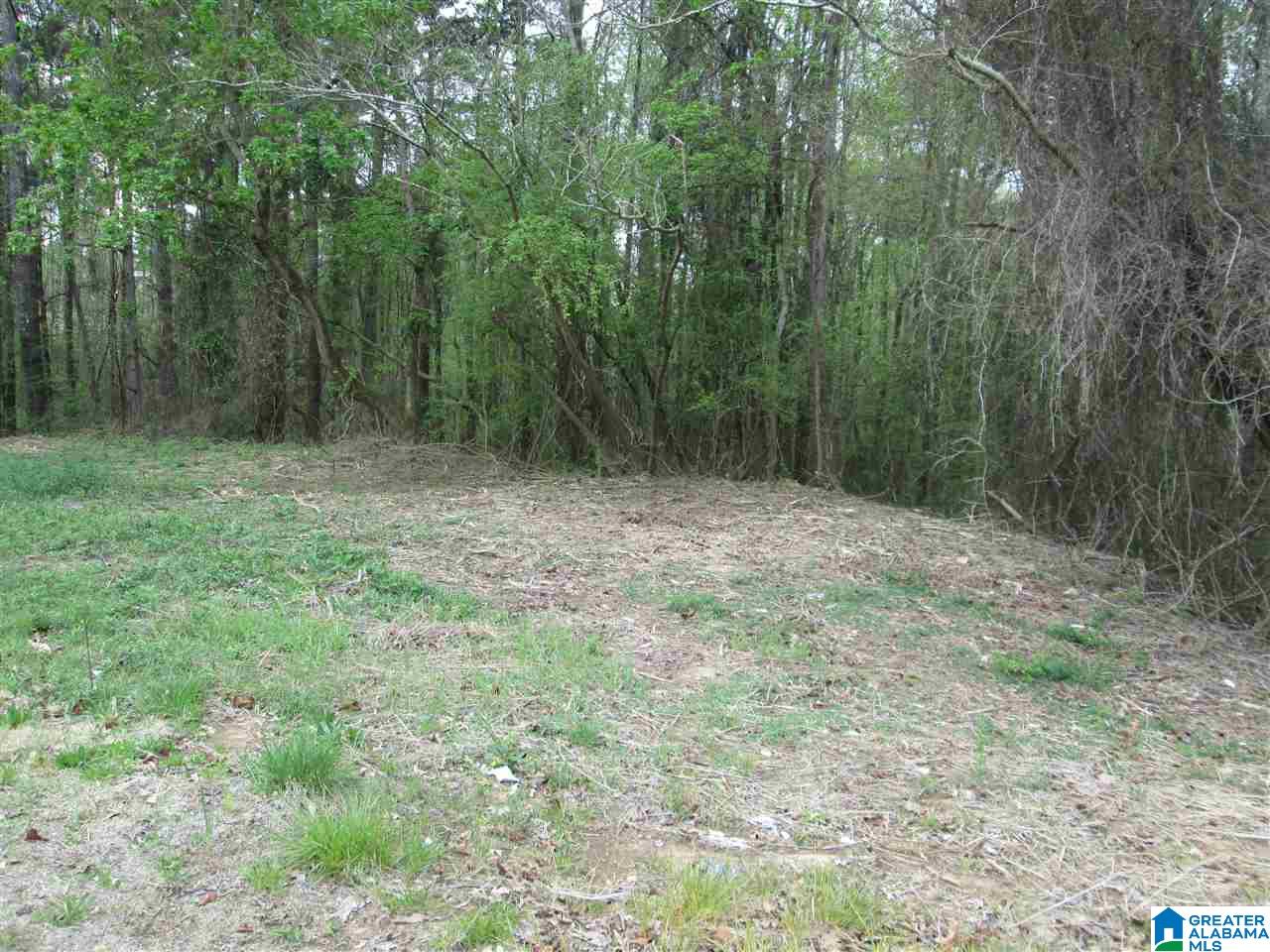 2460 Corner Road Warrior, AL 35180 - Photo 6 of 13