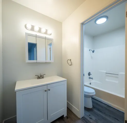 a bathroom with a toilet a sink a mirror and bathtub