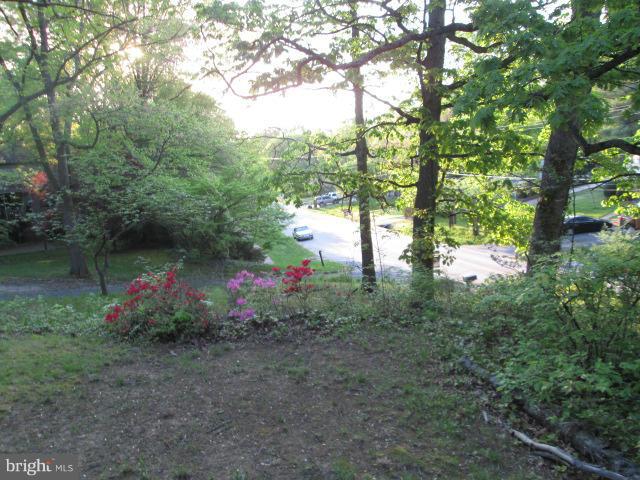 4111 Old Mill Road Alexandria, VA 22309 - Photo 26 of 30 View