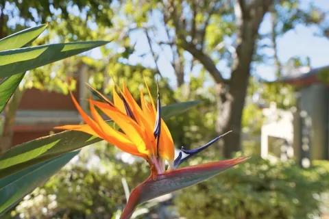 $420,000 | 4455 Home Avenue, Unit 2, San Diego, CA 92105