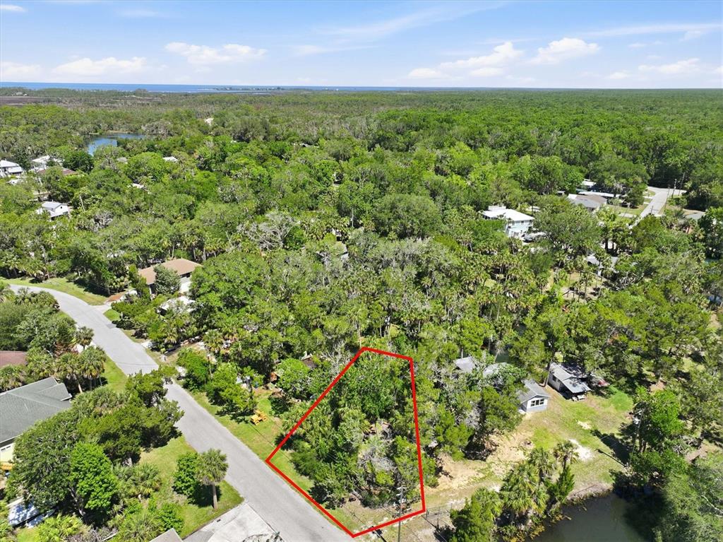 6240 Colony Circle Weeki Wachee, FL 34607 - Photo 2 of 15 an aerial view of residential houses with outdoor space and trees