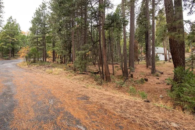 $64,900 | 0 Lassen Drive, Long Barn, CA 95335