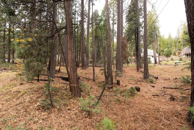 $64,900 | 0 Lassen Drive, Long Barn, CA 95335