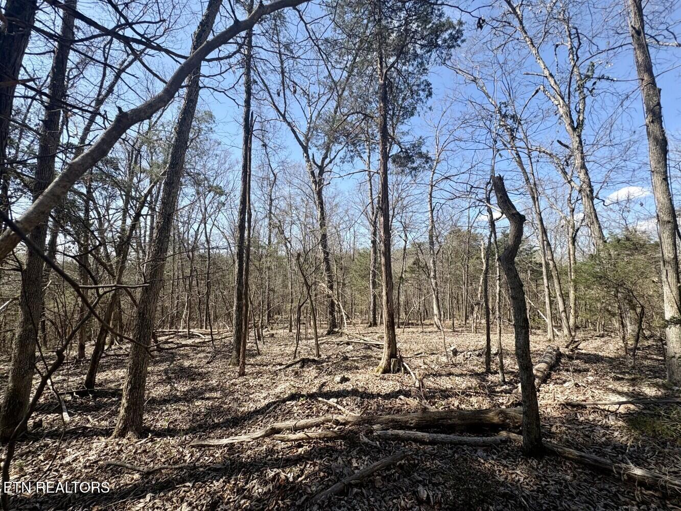 456 Geisler Road Piney Flats, TN 37686 - Photo 11 of 16 69d3e4396a09e