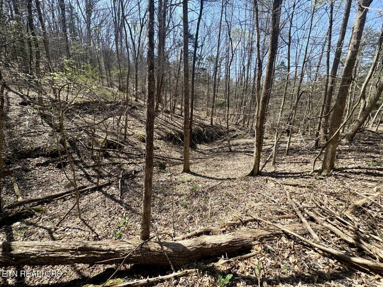 456 Geisler Road Piney Flats, TN 37686 - Photo 13 of 16 69d3e45b9164d