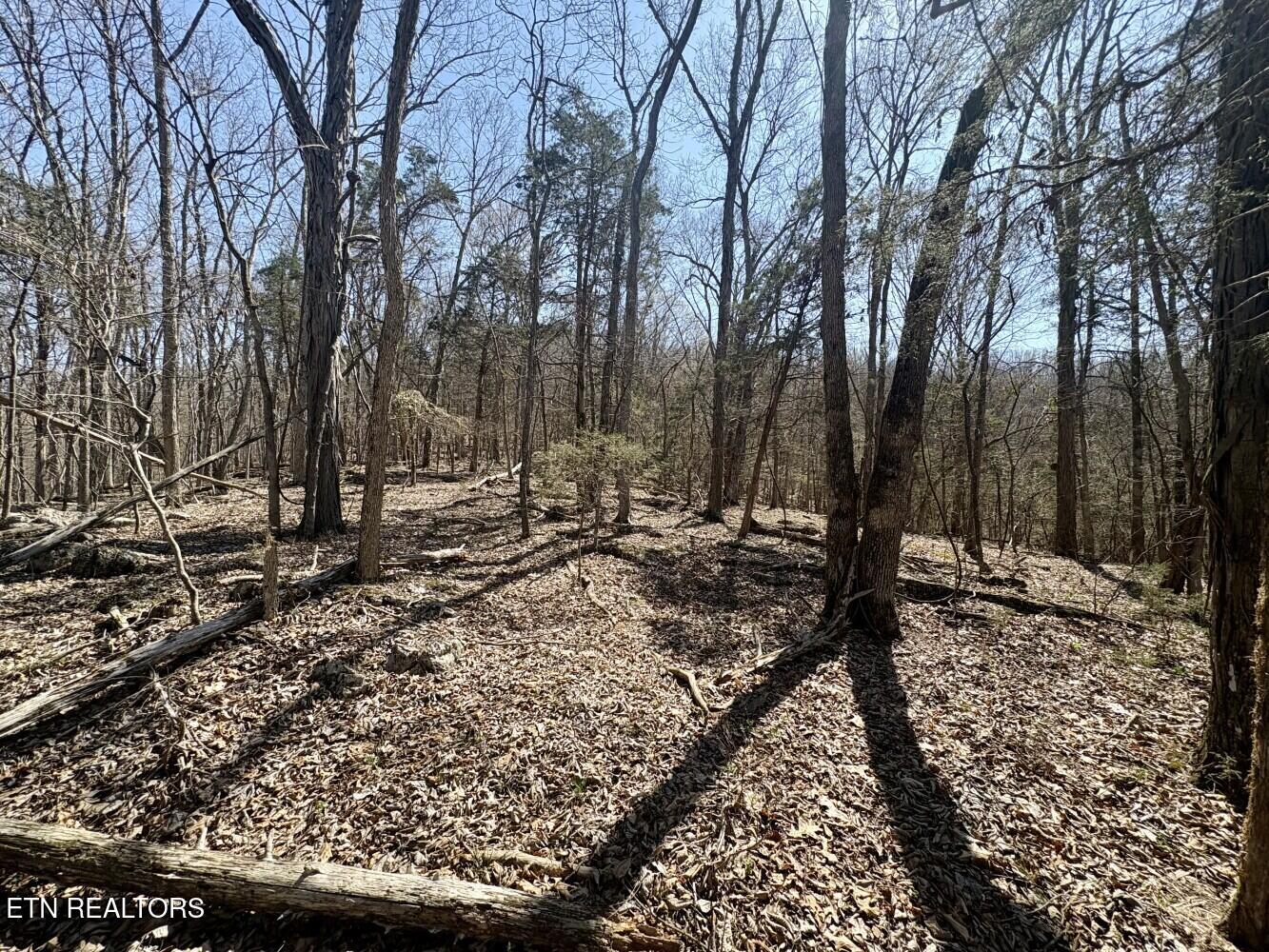 456 Geisler Road Piney Flats, TN 37686 - Photo 15 of 16 69d3e42a3bac1