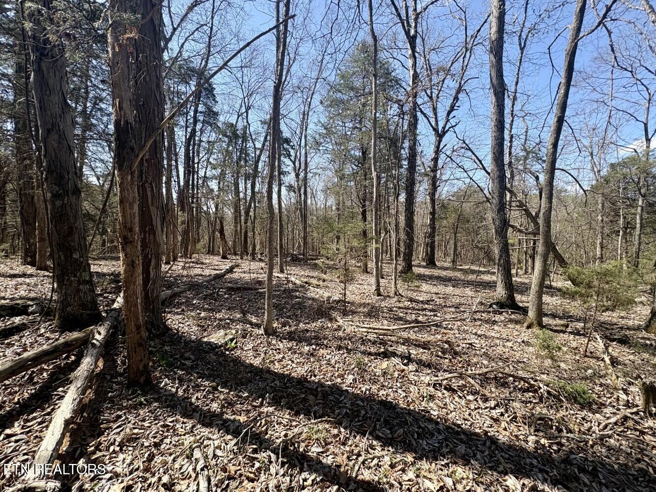456 Geisler Road Piney Flats, TN 37686 - Photo 16 of 16 69d3e41a082ea