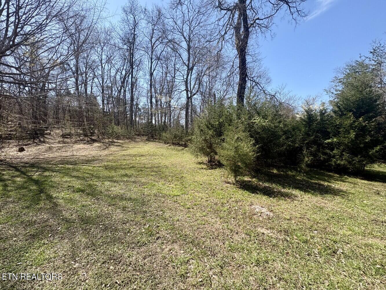 456 Geisler Road Piney Flats, TN 37686 - Photo 3 of 16 69d3e408e6468