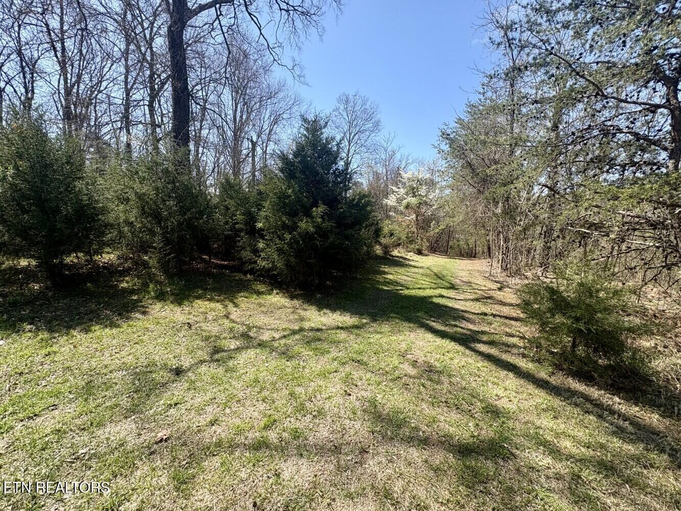456 Geisler Road Piney Flats, TN 37686 - Photo 4 of 16 69d3e3f973334