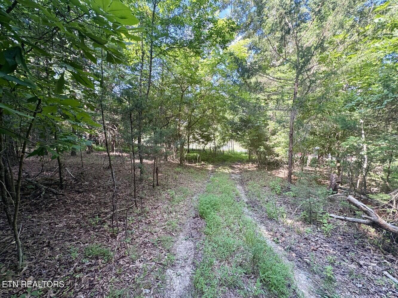 456 Geisler Road Piney Flats, TN 37686 - Photo 4 of 9 686eb1924e06a