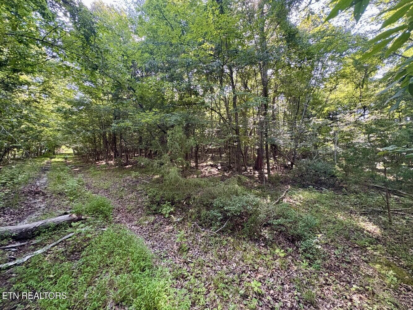 456 Geisler Road Piney Flats, TN 37686 - Photo 5 of 9 686eb17a319a4
