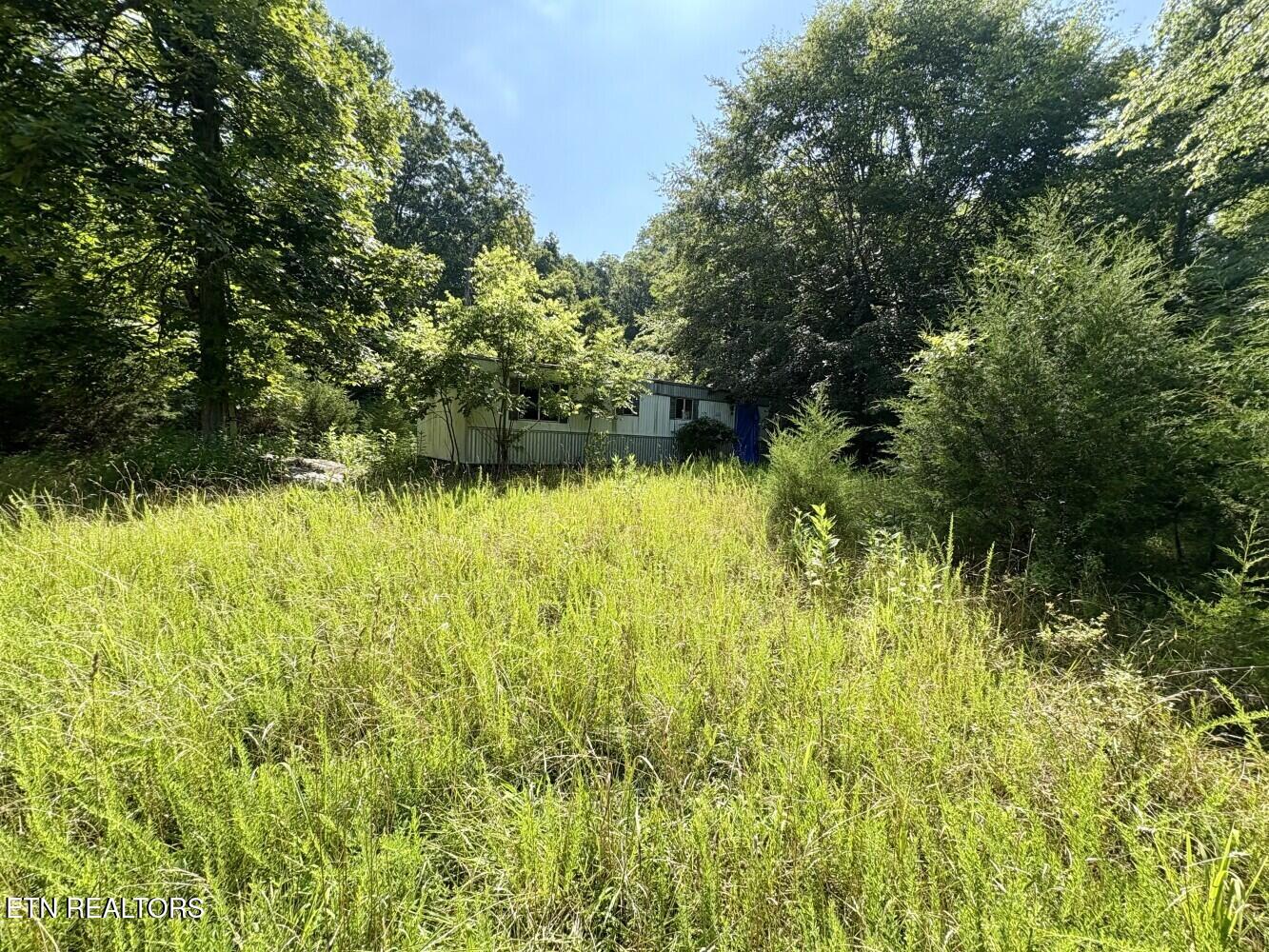 456 Geisler Road Piney Flats, TN 37686 - Photo 9 of 9 686eb16d94218