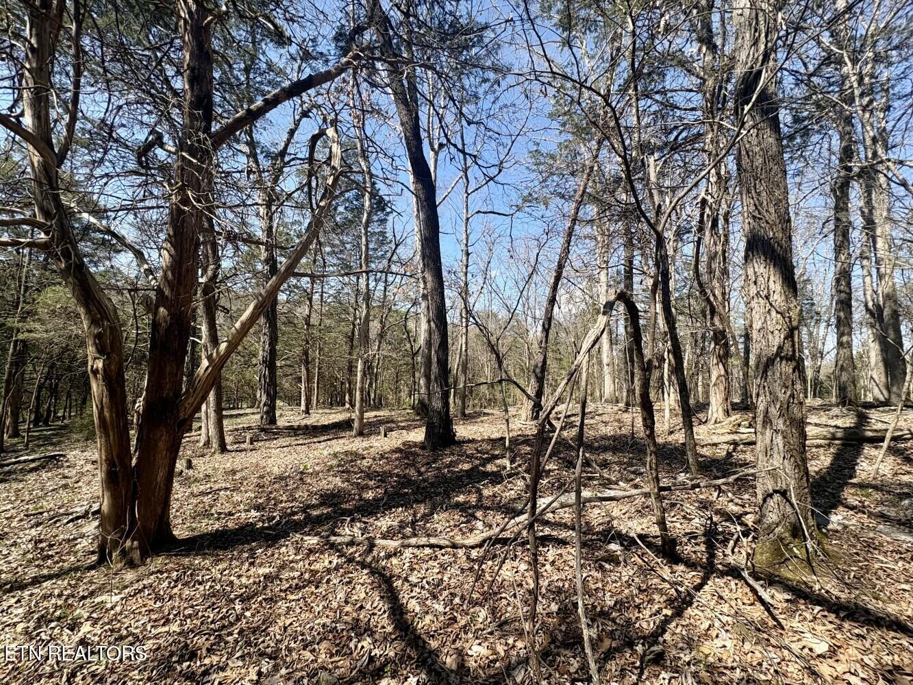 456 Geisler Road Piney Flats, TN 37686 - Photo 9 of 16 69d3e47e66fec