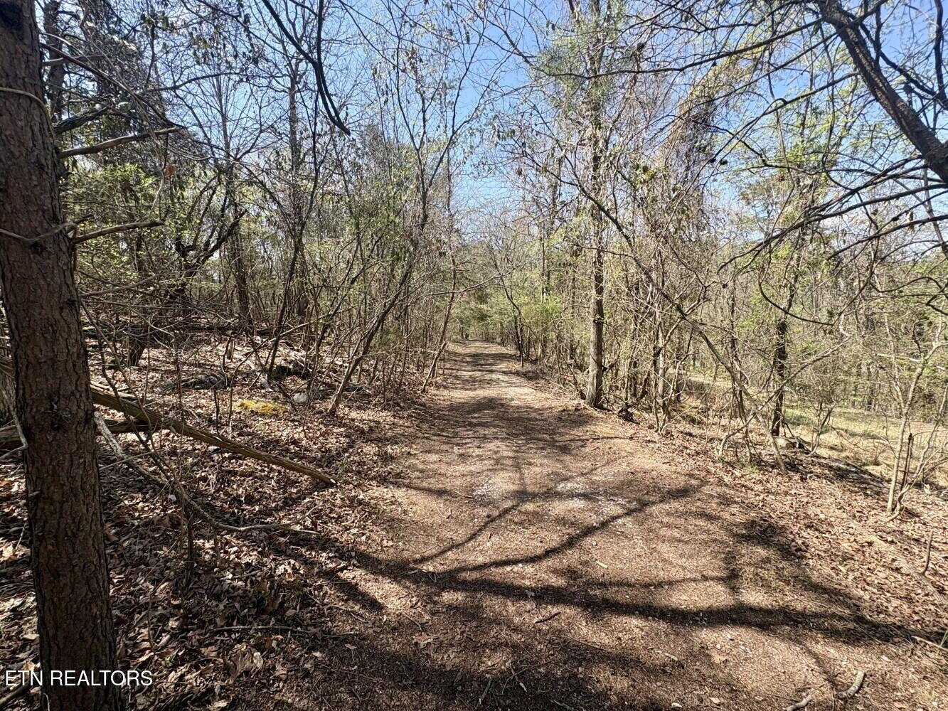 456 Geisler Road Piney Flats, TN 37686 - Photo 10 of 16 69d3e4afca963