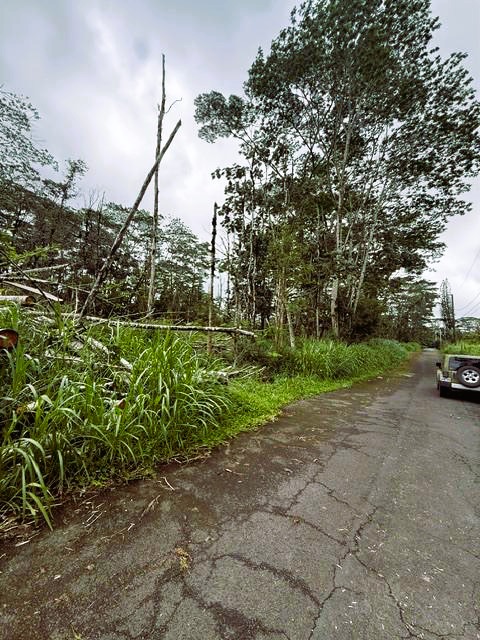 178 Mayzee Road Pahoa, HI 96778 - Photo 4 of 9
