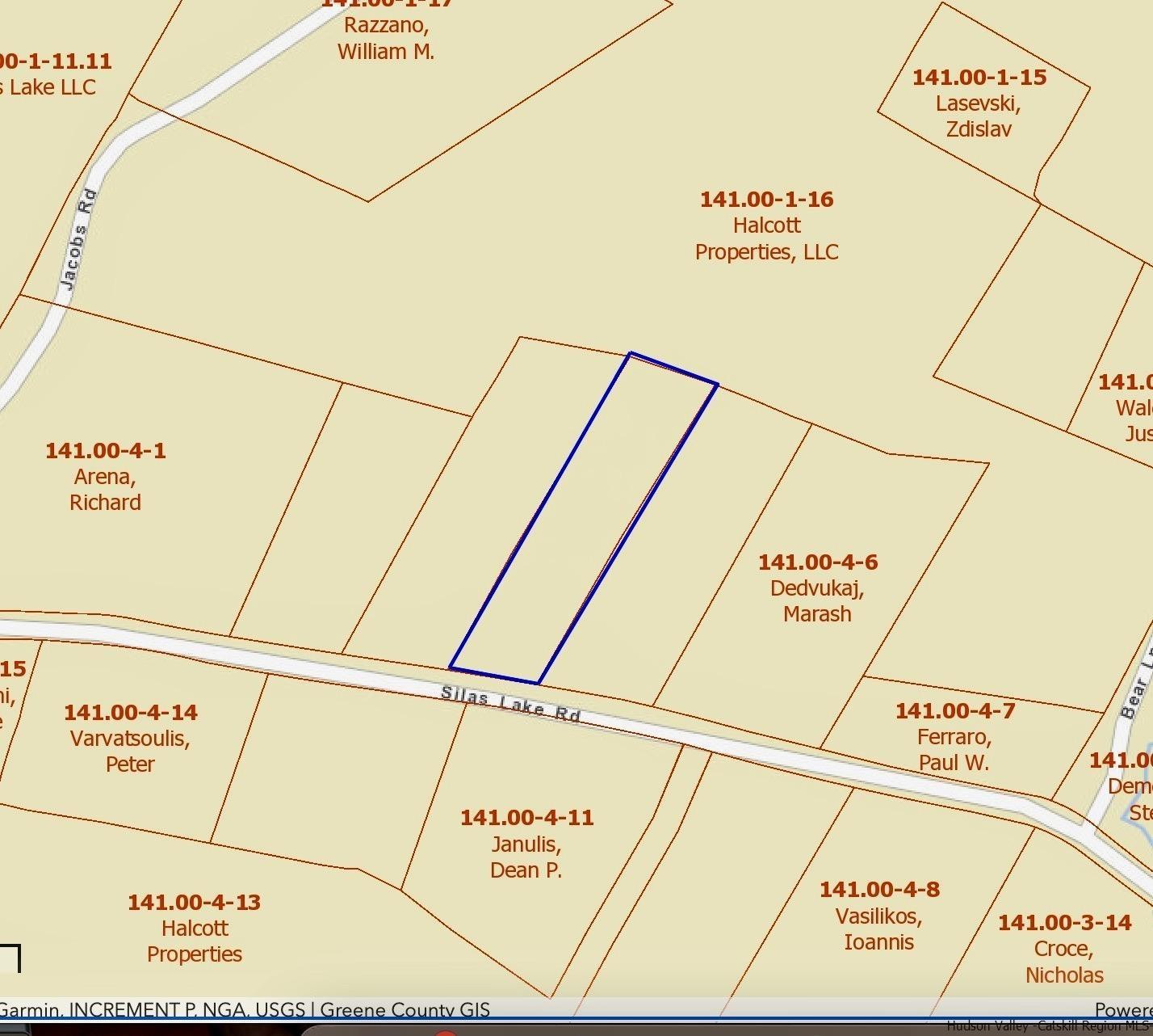 Tbd Silas Lake Road Fleischmanns, NY 12430 - Photo 11 of 11 Photo 11