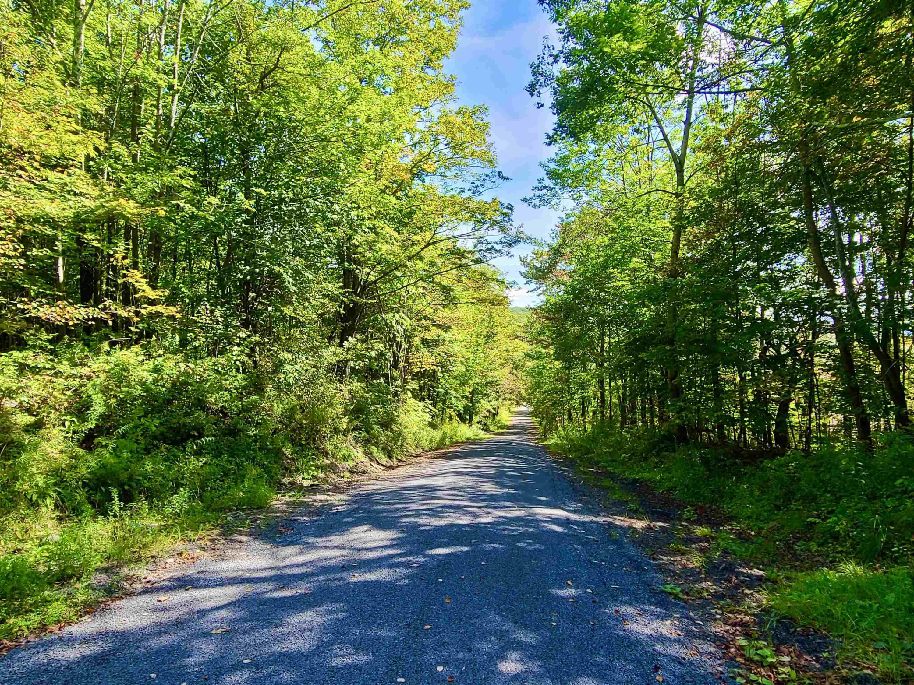 Tbd Silas Lake Road Fleischmanns, NY 12430 - Photo 10 of 11 Photo 10