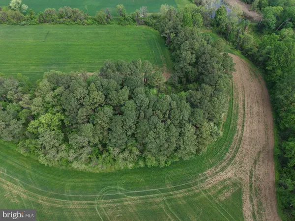 a view of a green yard