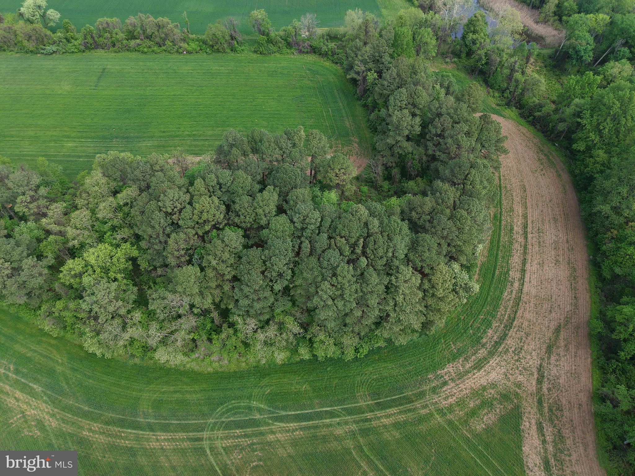 Cromwell Clark Road Chestertown, MD 21620 - Photo 15 of 19