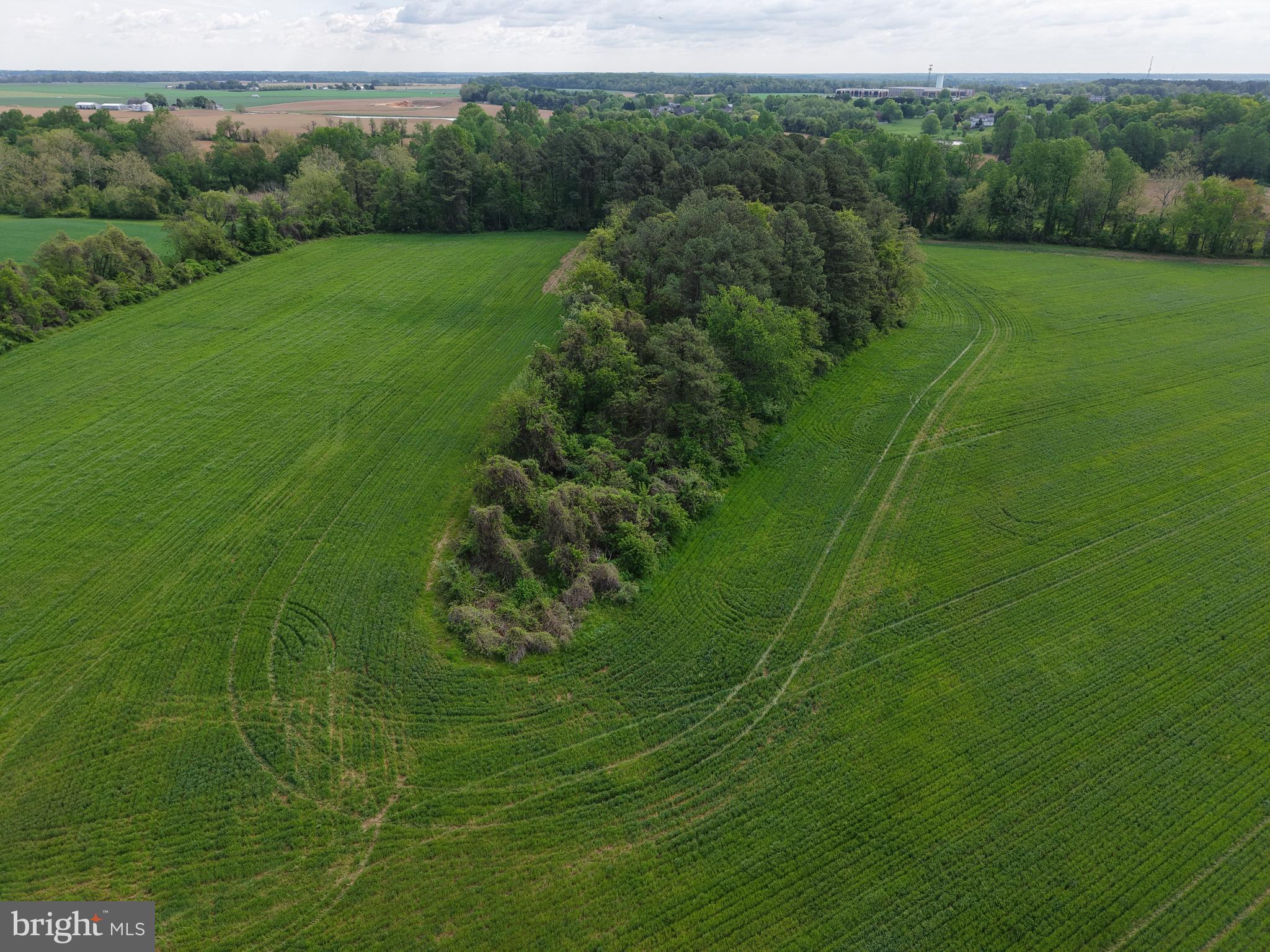 Cromwell Clark Road Chestertown, MD 21620 - Photo 16 of 19