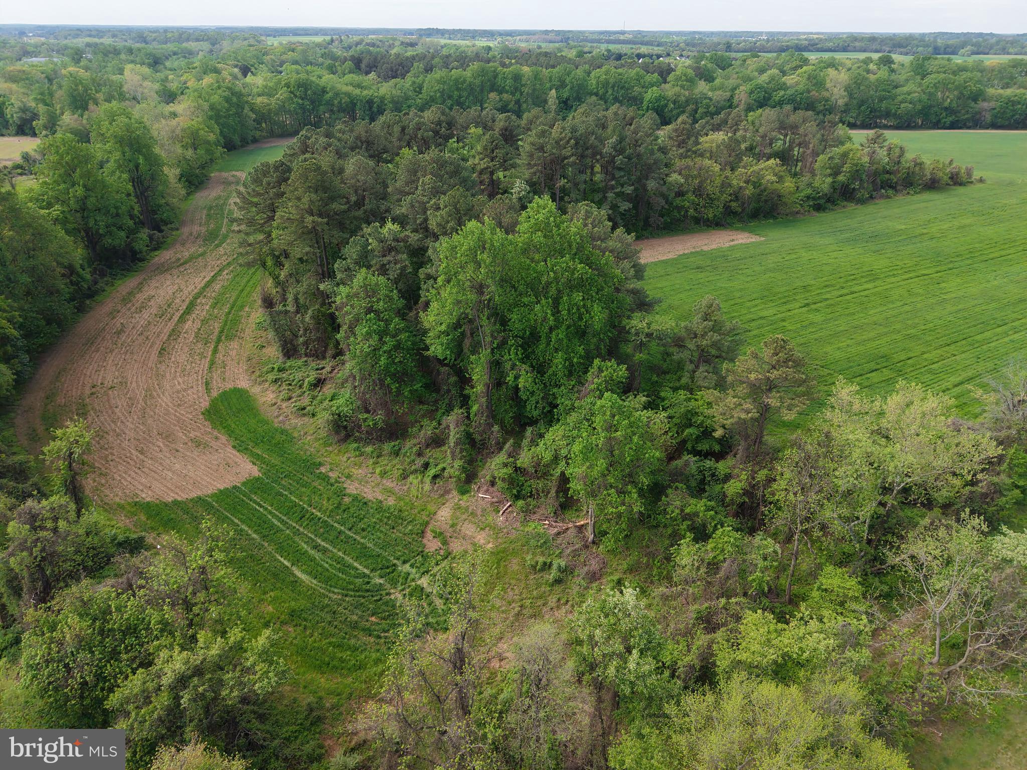 Cromwell Clark Road Chestertown, MD 21620 - Photo 18 of 19