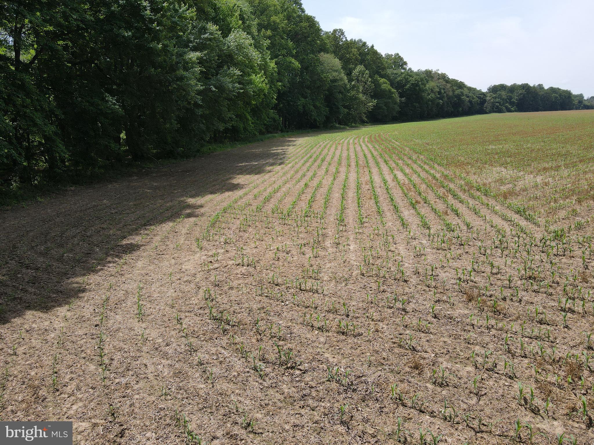 Cromwell Clark Road Chestertown, MD 21620 - Photo 19 of 19