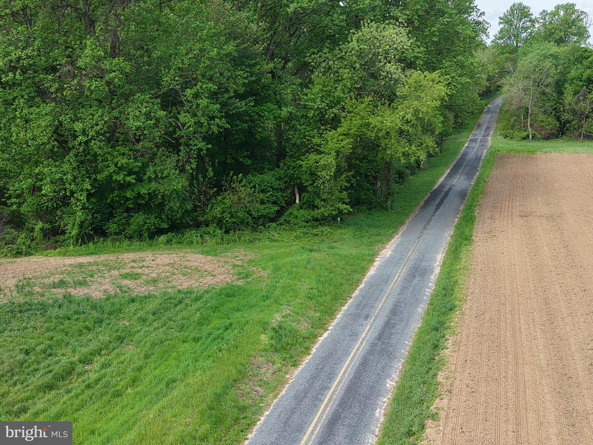 Cromwell Clark Road Chestertown, MD 21620 - Photo 3 of 19