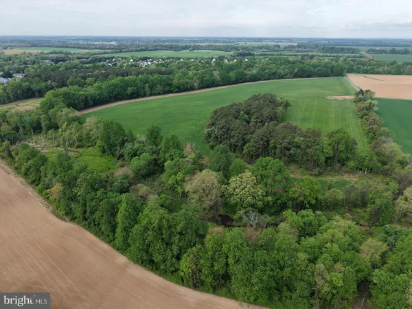 a view of a lush green field with a lake view