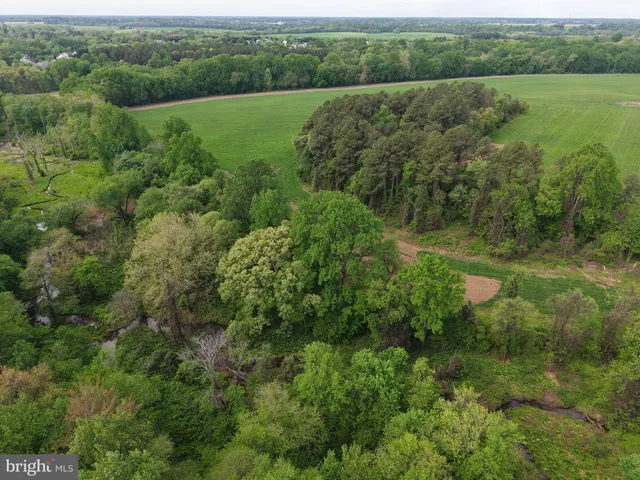 a view of a lush green forest with trees and houses