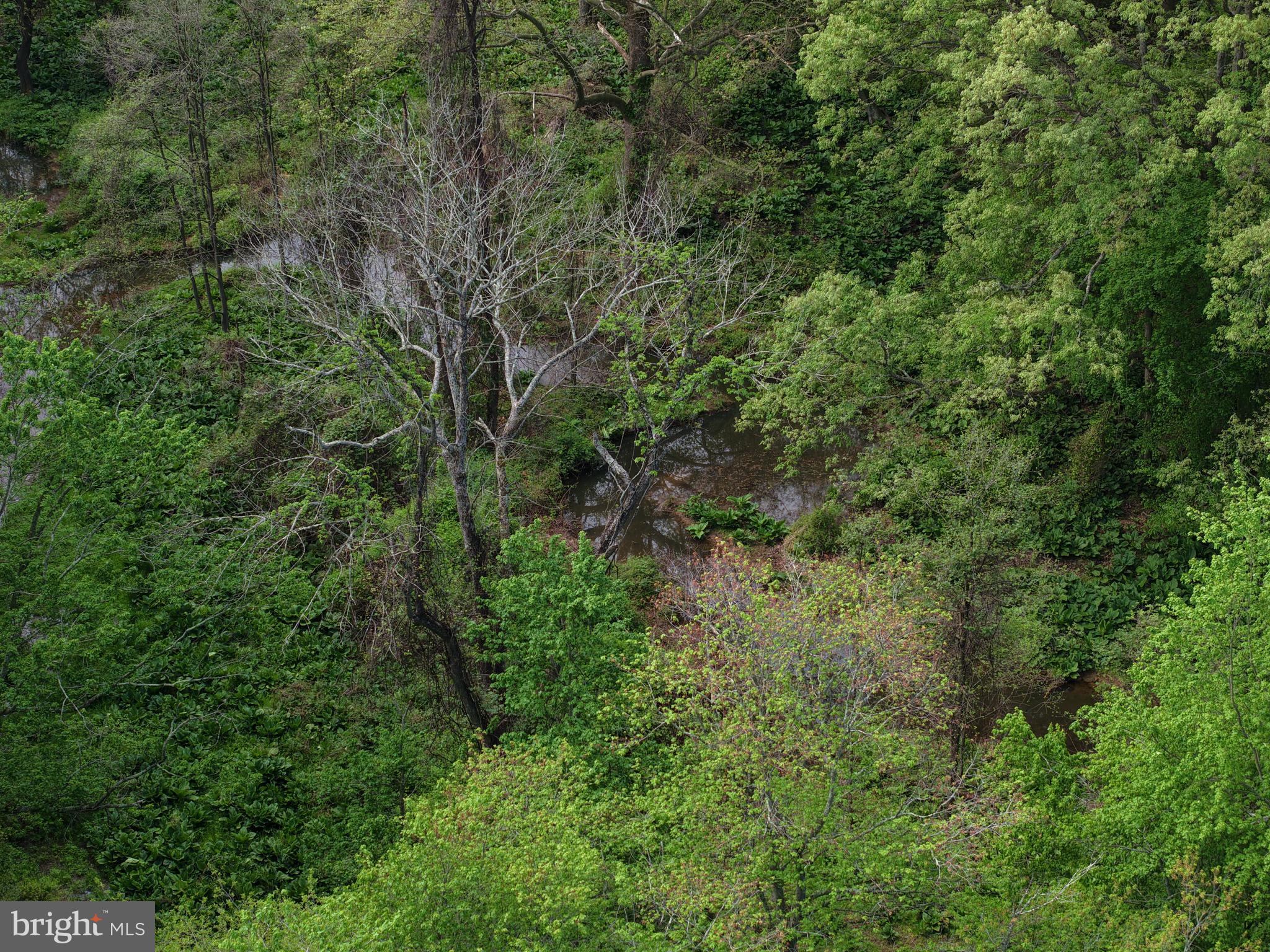 Cromwell Clark Road Chestertown, MD 21620 - Photo 8 of 19