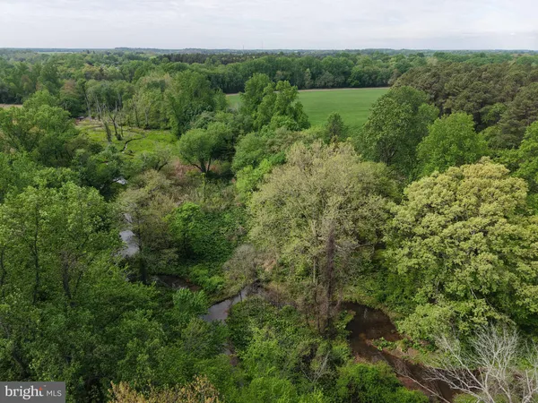 a view of a lush green forest with trees and some houses