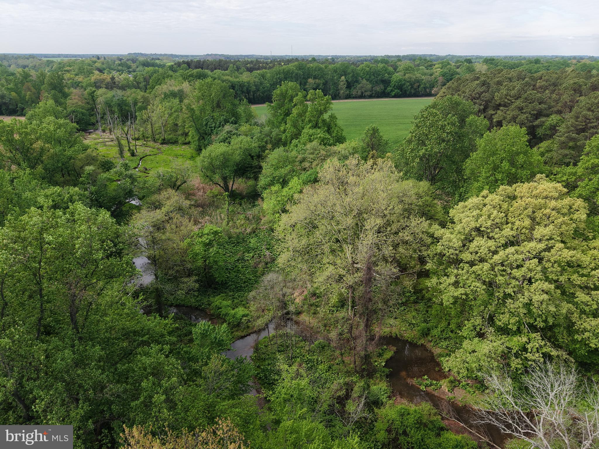 Cromwell Clark Road Chestertown, MD 21620 - Photo 9 of 19