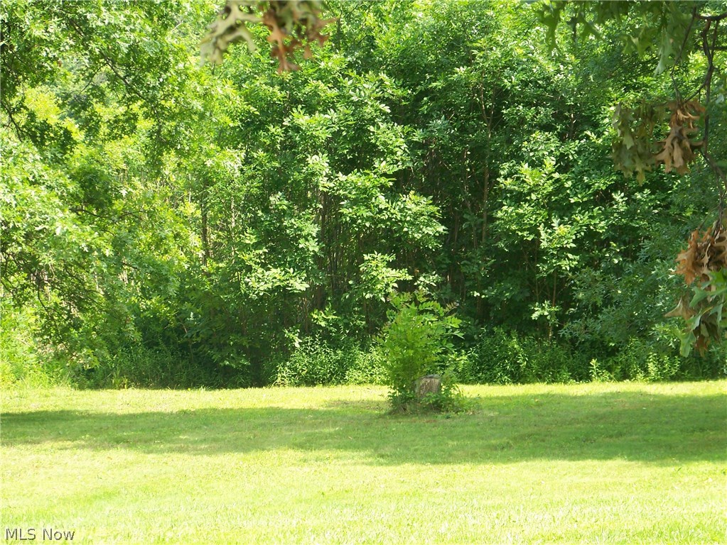 7901 Lafayette Road Lodi, OH 44254 - Photo 12 of 12 Gallery Image 12