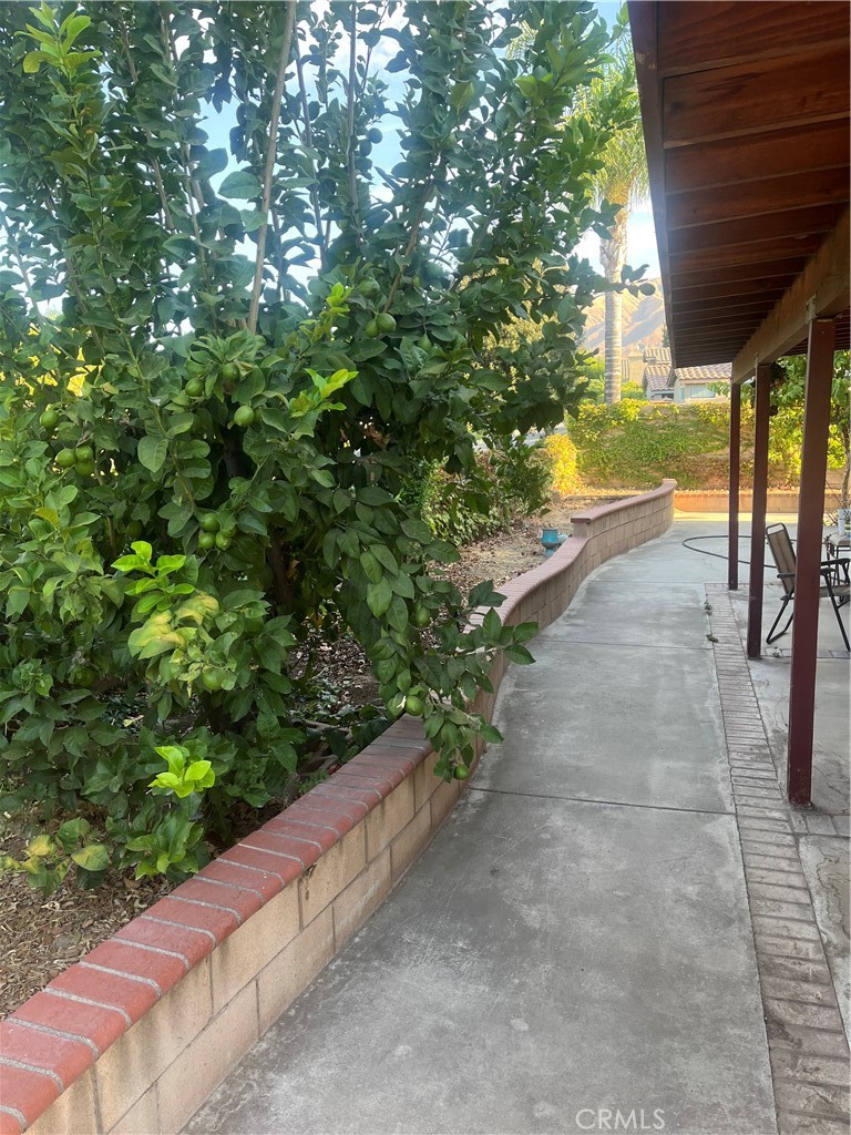 7784 Silver Buckle Road Highland, CA 92346 - Photo 6 of 11 a view of an outdoor space and a yard