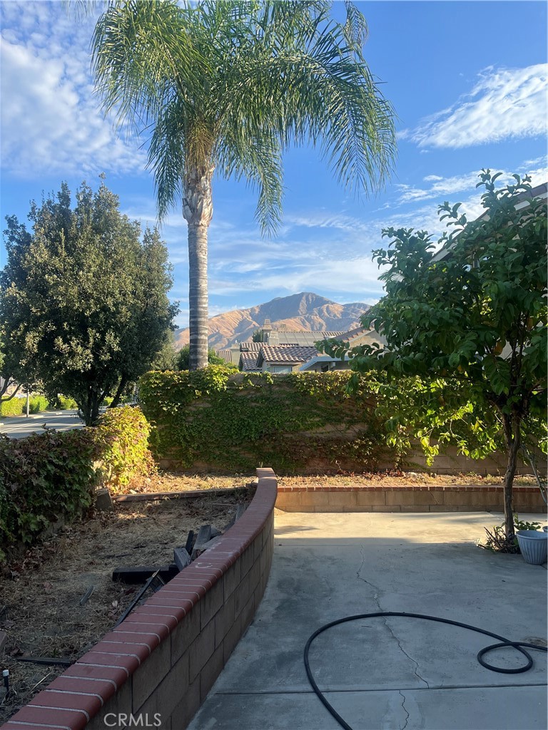 7784 Silver Buckle Road Highland, CA 92346 - Photo 8 of 11 a view of a swimming pool with a yard