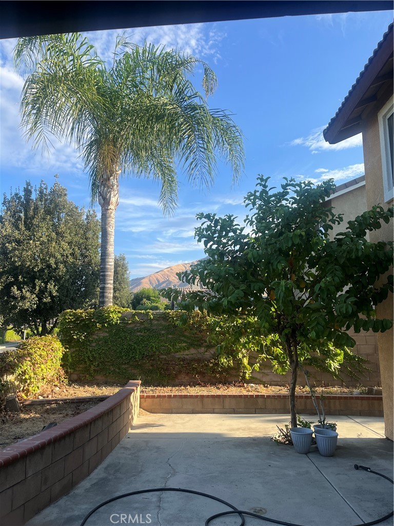 7784 Silver Buckle Road Highland, CA 92346 - Photo 9 of 11 a view of a yard with palm tree