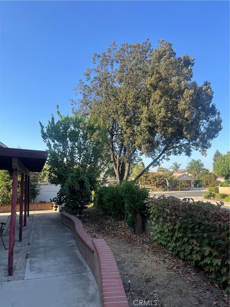 7784 Silver Buckle Road Highland, CA 92346 - Photo 10 of 11 a view of a street with an trees