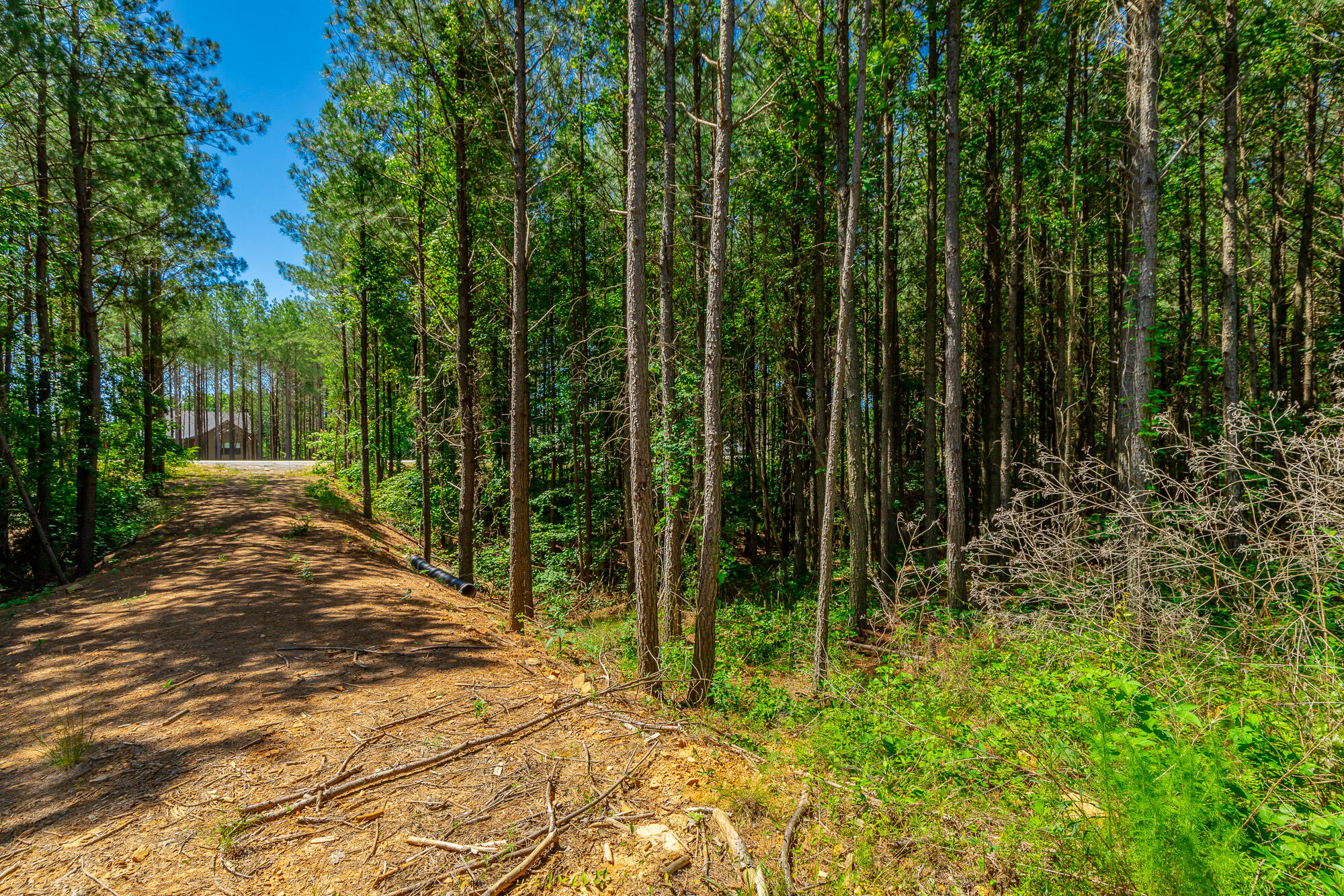 0 Split Rail Way, Unit LOT 1163 Guild, TN 37340 - Photo 12 of 118 River Gorge Lot 1163 HD-24