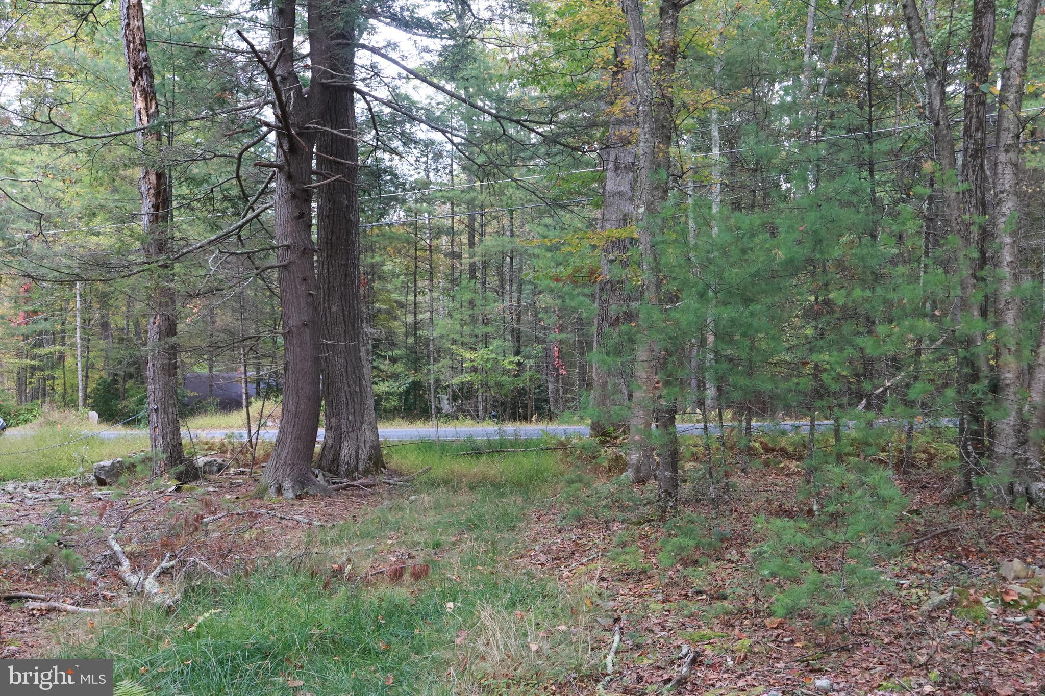 0 Park Road Dingmans Ferry, PA 18328 - Photo 12 of 30 a view of a forest with trees