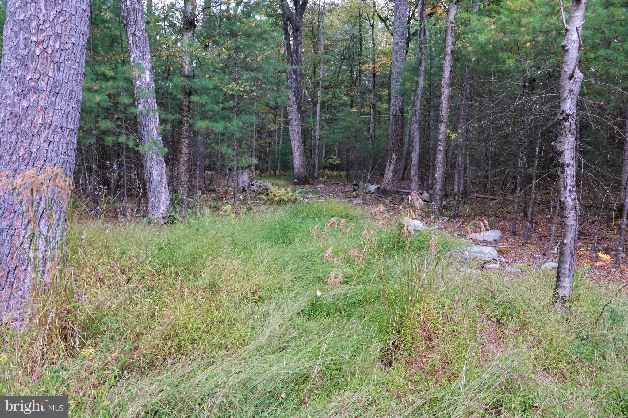 0 Park Road Dingmans Ferry, PA 18328 - Photo 18 of 30 a view of backyard with green space
