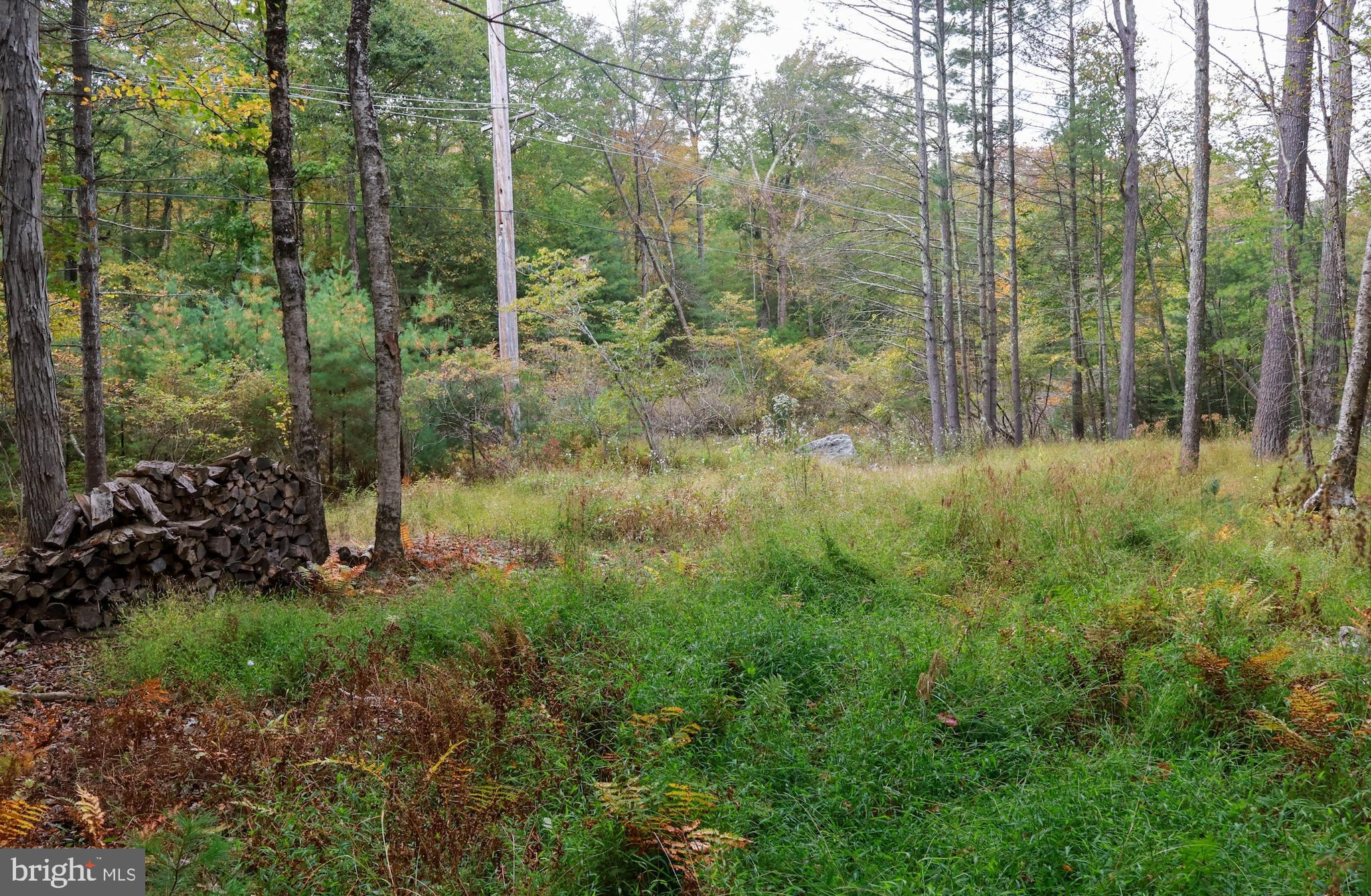 0 Park Road Dingmans Ferry, PA 18328 - Photo 21 of 30 a view of outdoor space and green space