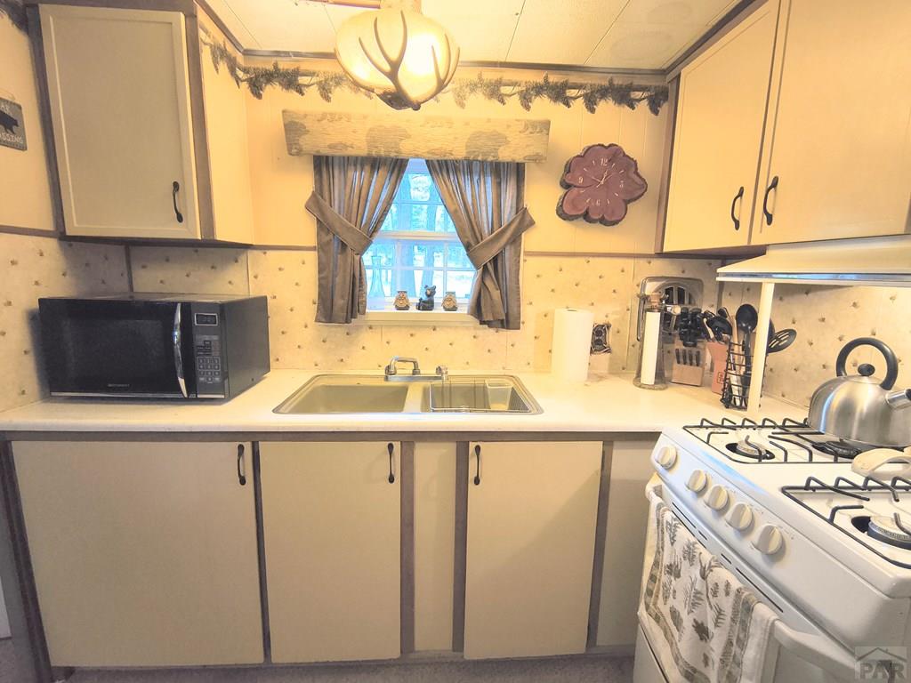 10594 Charles Lane Rye, CO 81069 - Photo 6 of 14
