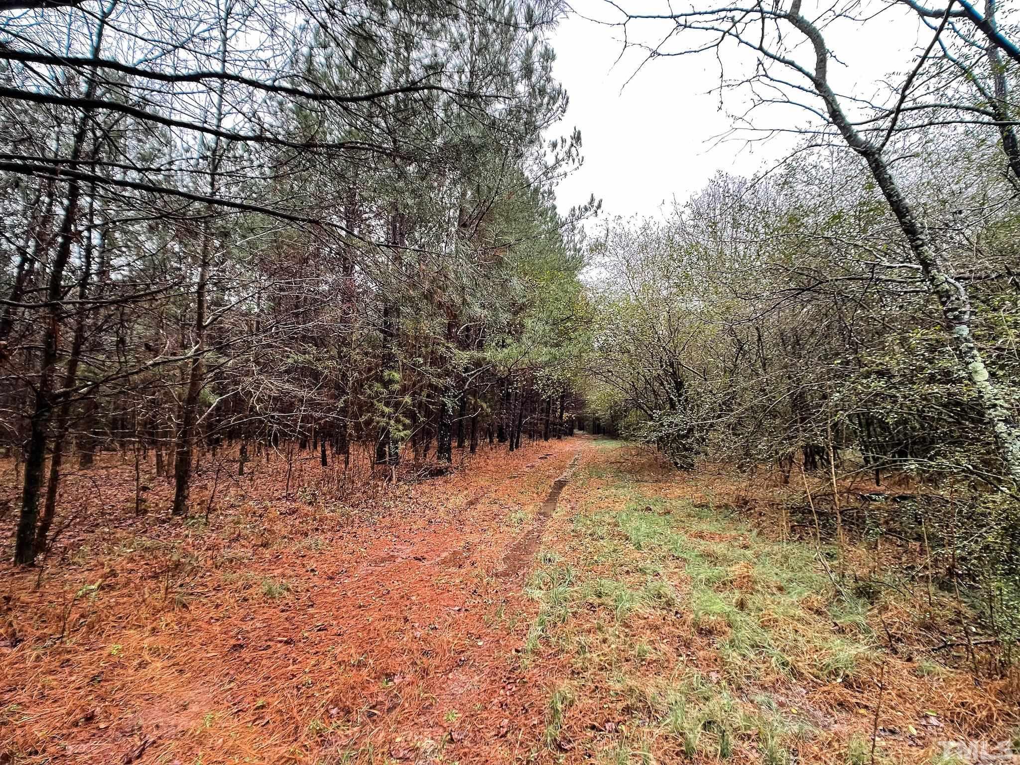 22.34-acres Arthur Wilder Road Spring Hope, NC 27882 - Photo 18 of 30 a view of empty yard