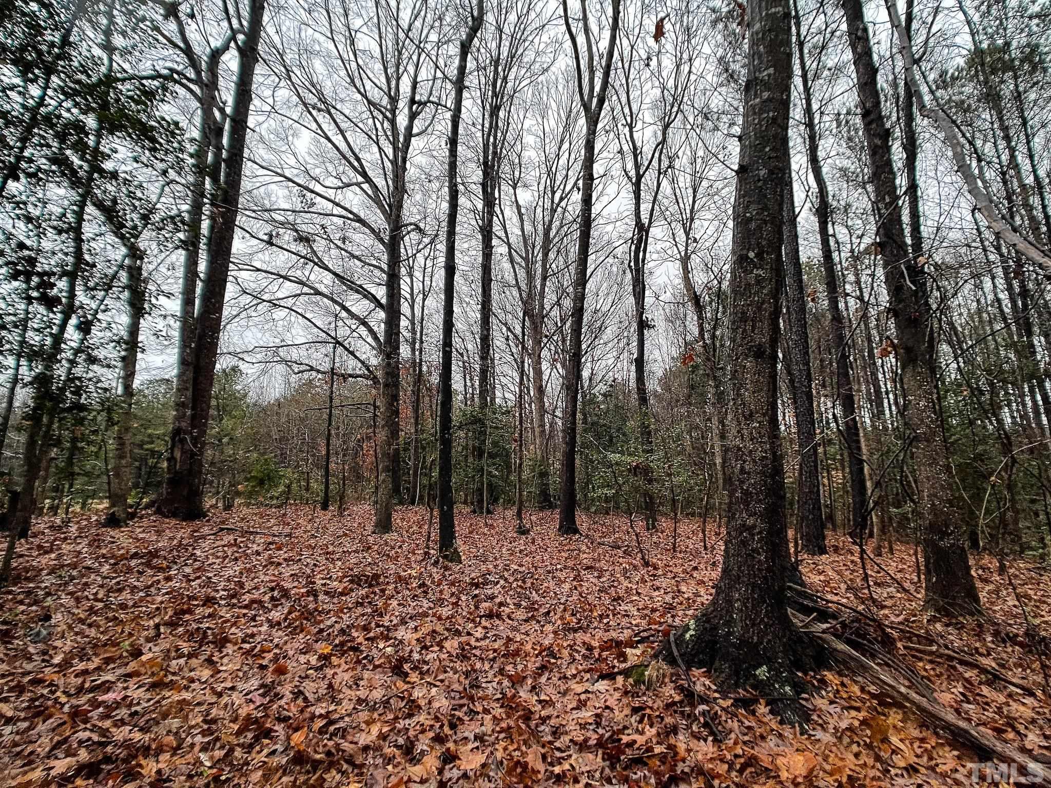 22.34-acres Arthur Wilder Road Spring Hope, NC 27882 - Photo 24 of 30 a view of outdoor space with lots of trees