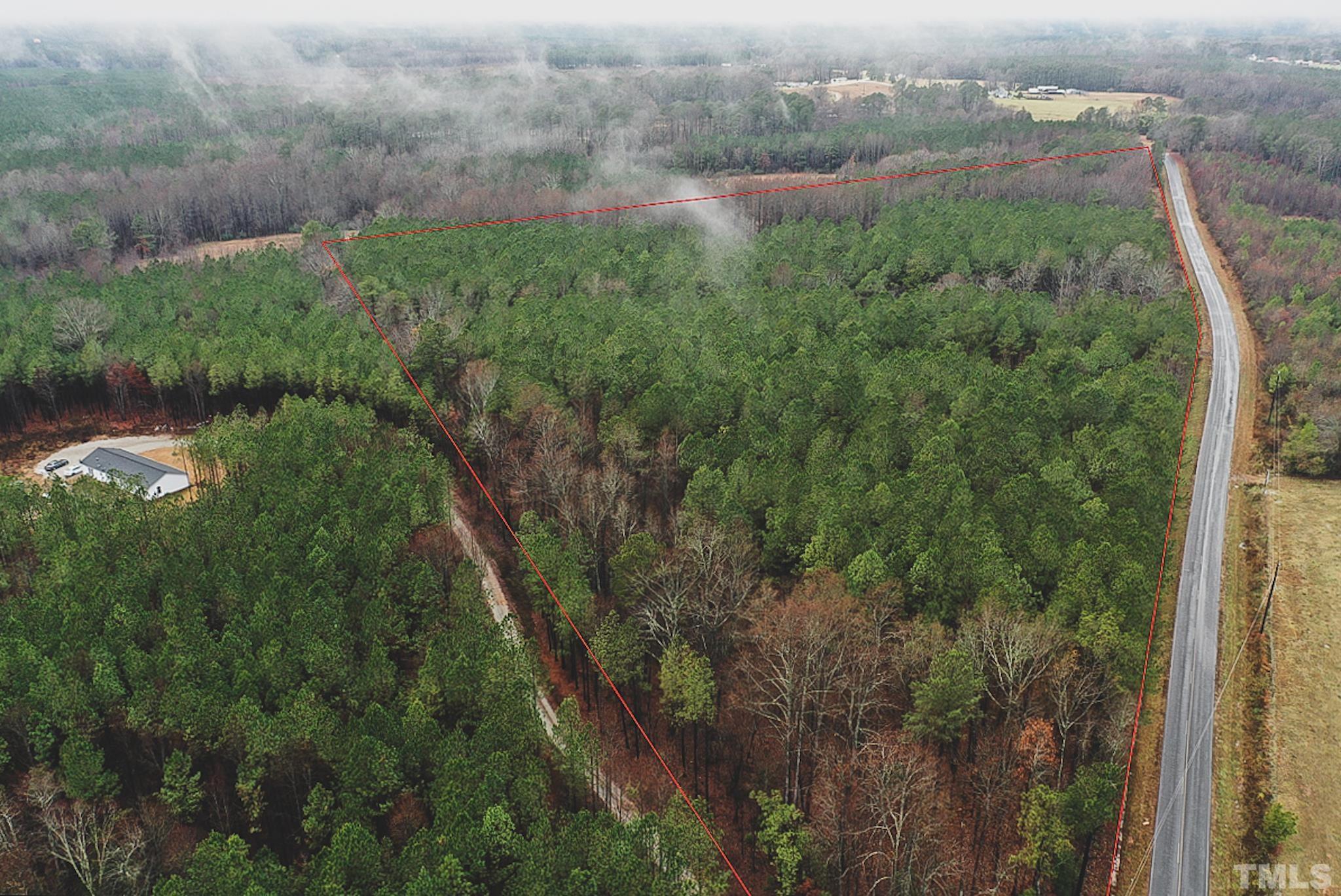 22.34-acres Arthur Wilder Road Spring Hope, NC 27882 - Photo 8 of 30 a view of a forest with a houses