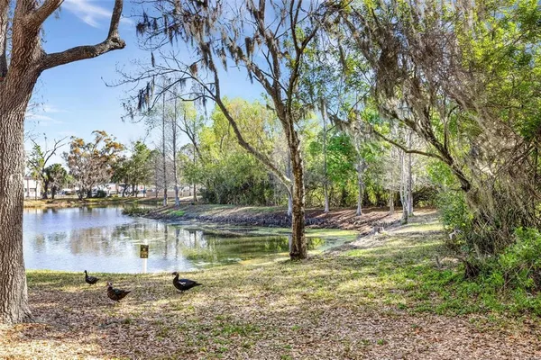 $2,300 | 9306 River Rock Lane, Riverview, FL 33578