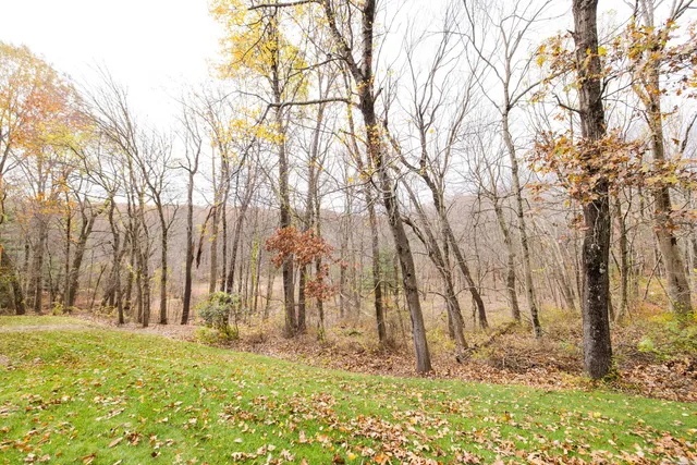 a view of outdoor space with garden